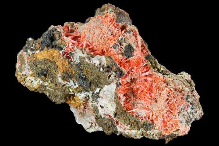 Bright Orange Crocoite Crystal Cluster with Gibbsite - Tasmania #103816